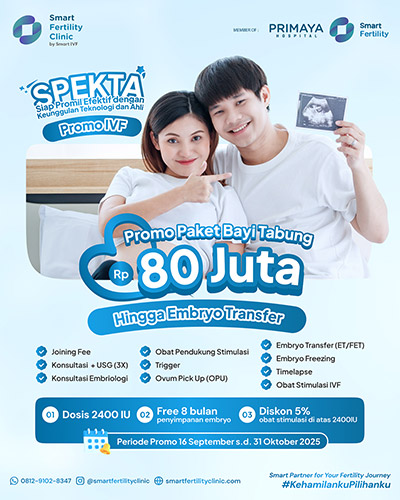 IVF mulai dari 80jt-an