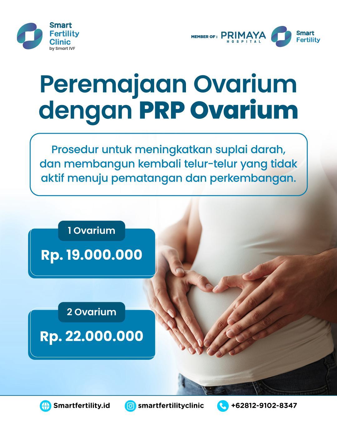 Peremajaan Ovarium dengan PRP Ovarium - 1 Ovarium
