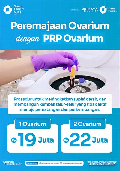 Peremajaan Ovarium dengan PRP Ovarium - 1 Ovarium