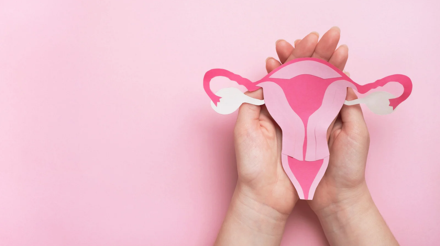 Pentingnya Menjaga Kesehatan Reproduksi Wanita dan Cara Merawatnya